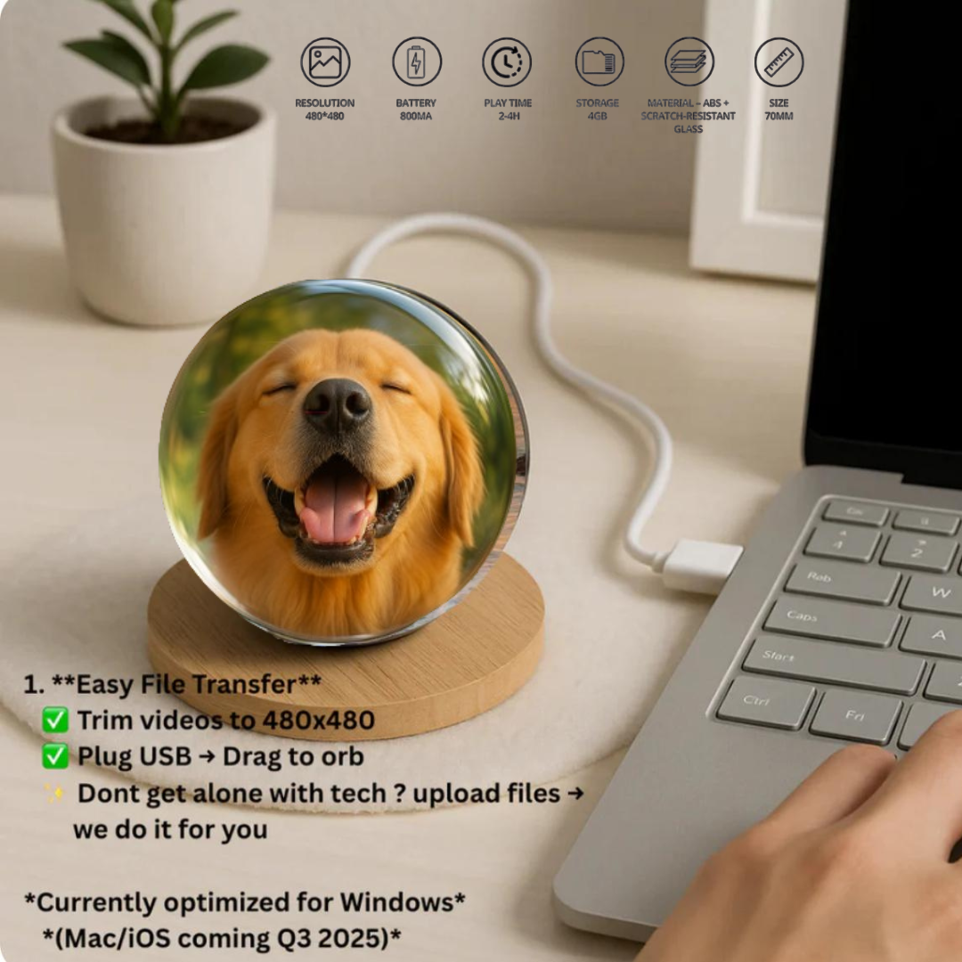 Custom Video Sphere