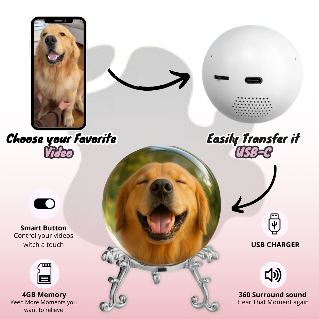 Custom Video Sphere