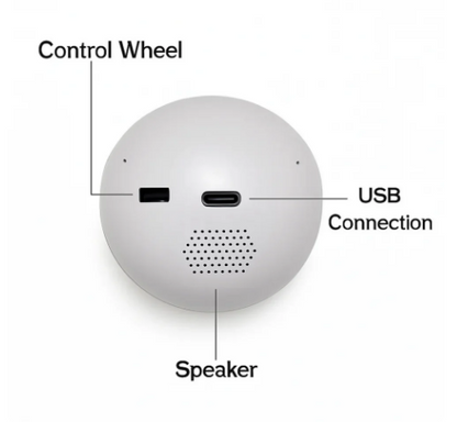 Custom Video Sphere